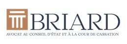 briard
